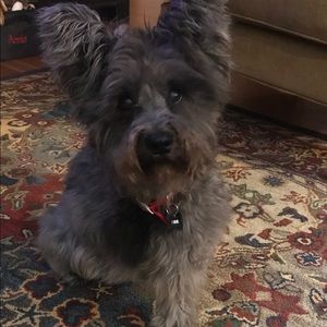 Meet your Posher, Tammy